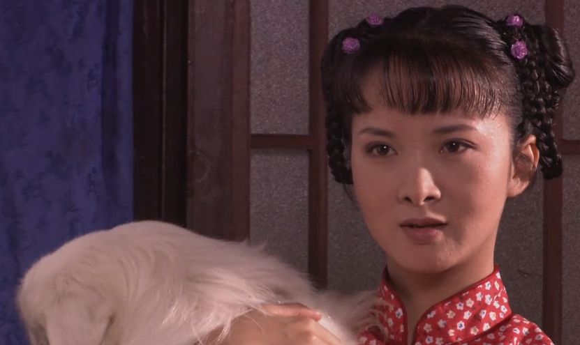 大宅门中的4位美女丫鬟你最喜欢谁莲心红花最可爱了