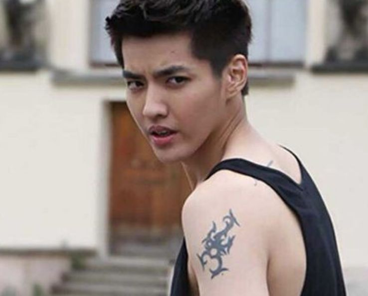 吴亦凡,你知道这是什么意思吗?吴尊,在手臂上也是很霸气了.