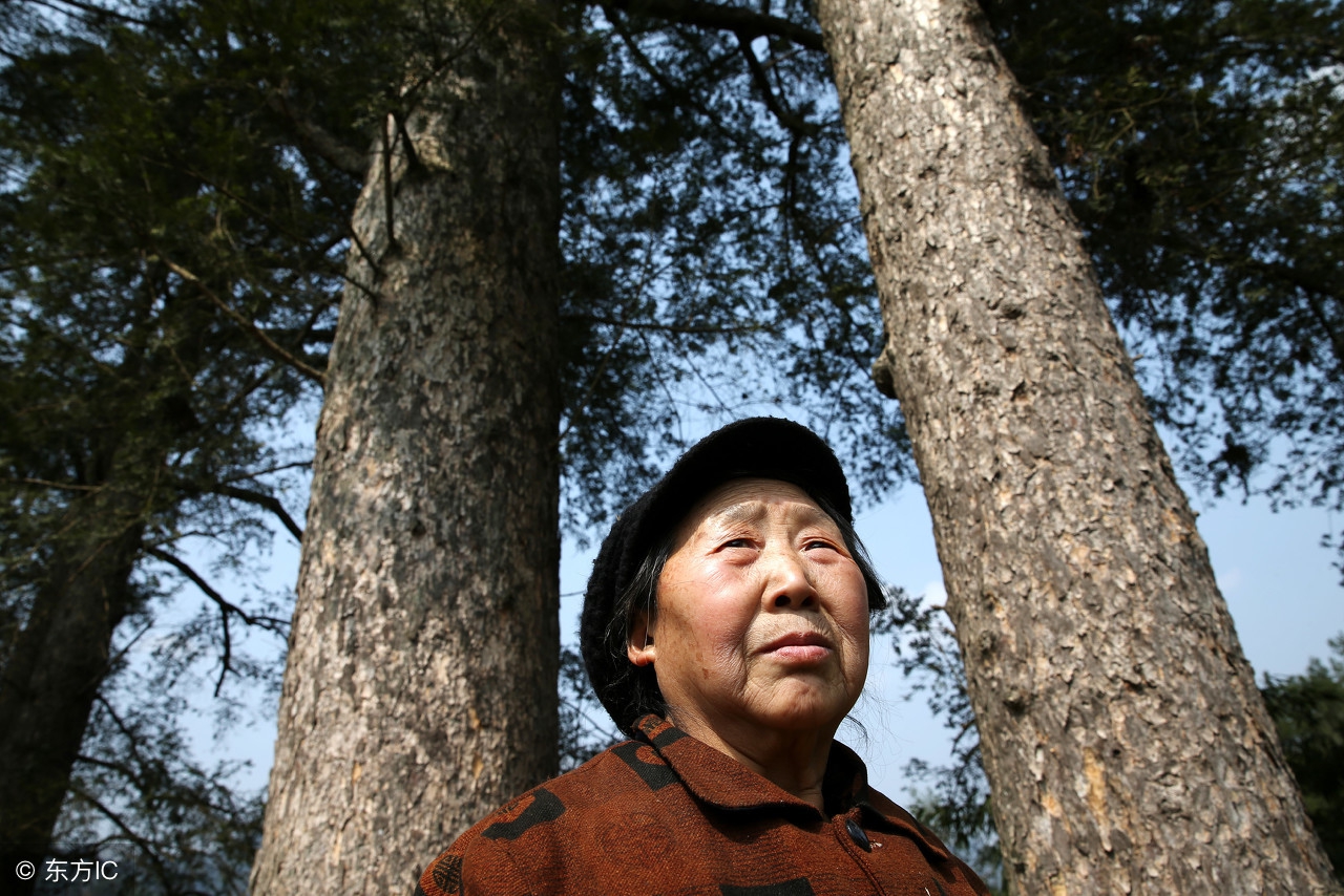 现在他不在了,我就一个人来看,就像老伴还在的时候一样