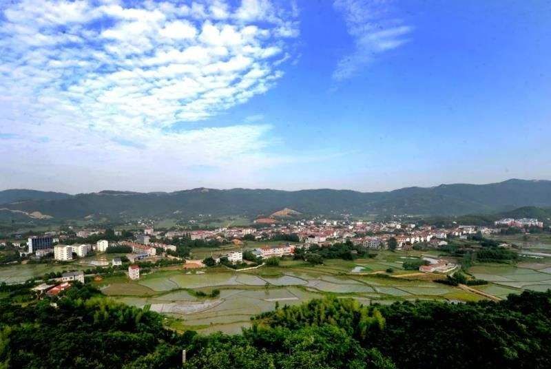 绿水青山美丽乡村 李花山村在湖北省荆州市石首市桃花山镇中北部