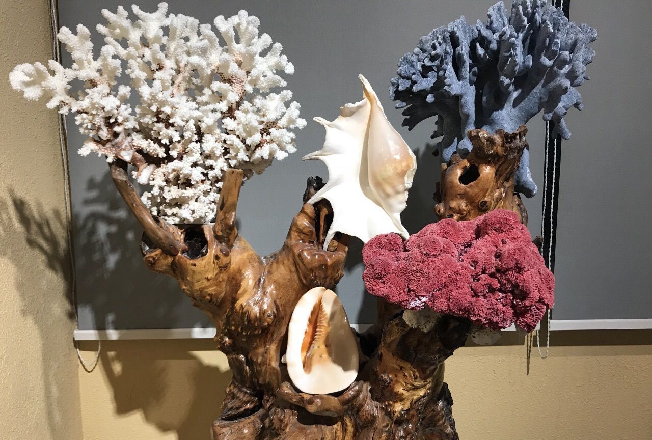 首家以贝雕为主题的博物馆,传承北海贝雕技艺,弘扬中华传统文化