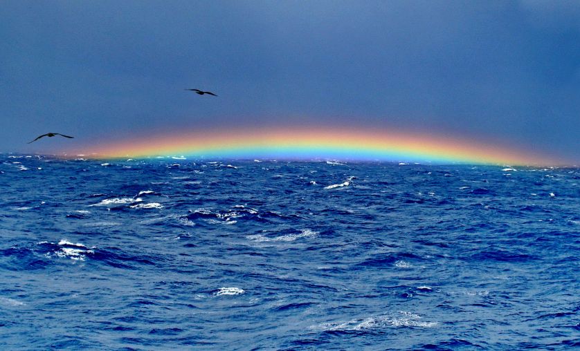 彩虹的景让人沉醉各地各种不同的雨后彩虹呈现