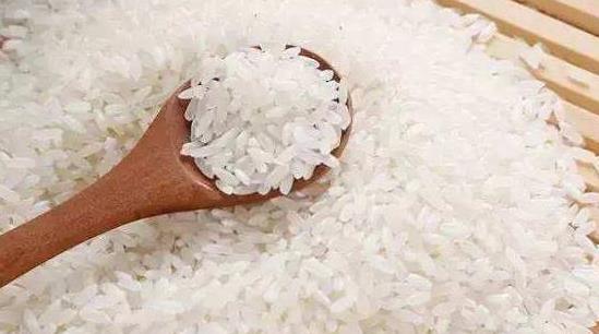 大米生虫别拿去暴晒 教你一个小绝招 不管放多久都不发霉生虫