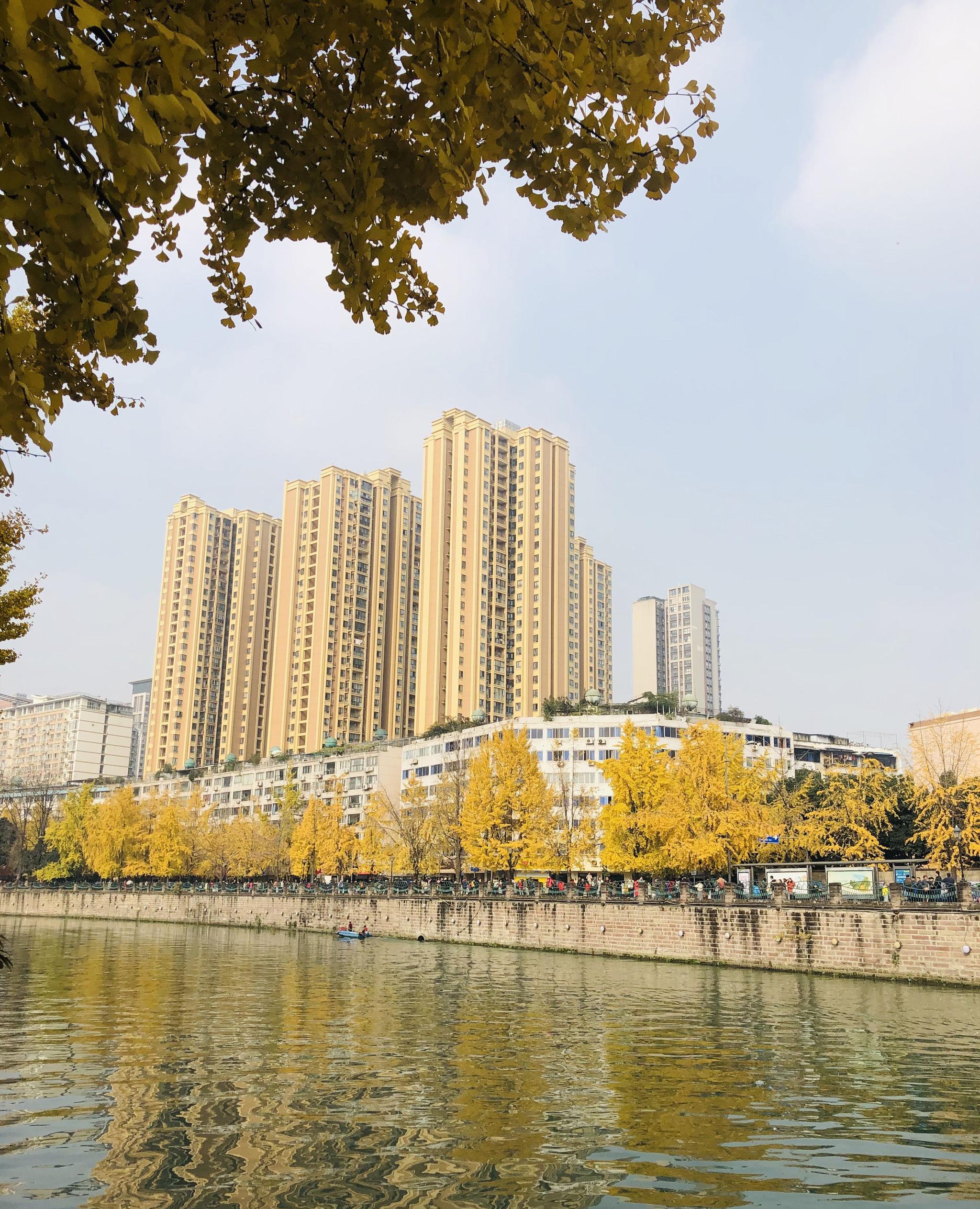 成都府南河畔波光粼粼阳光灿烂落叶飞舞风景如画