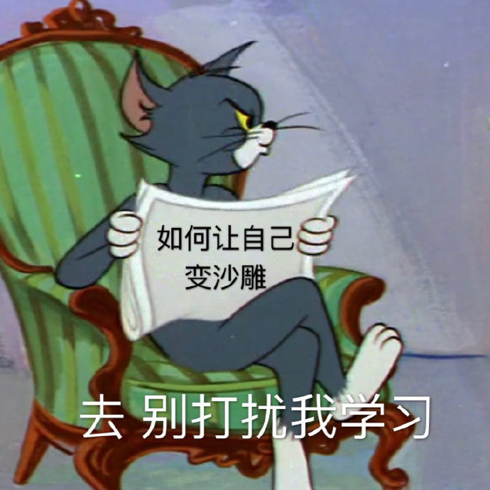 表情包:别打扰我学习