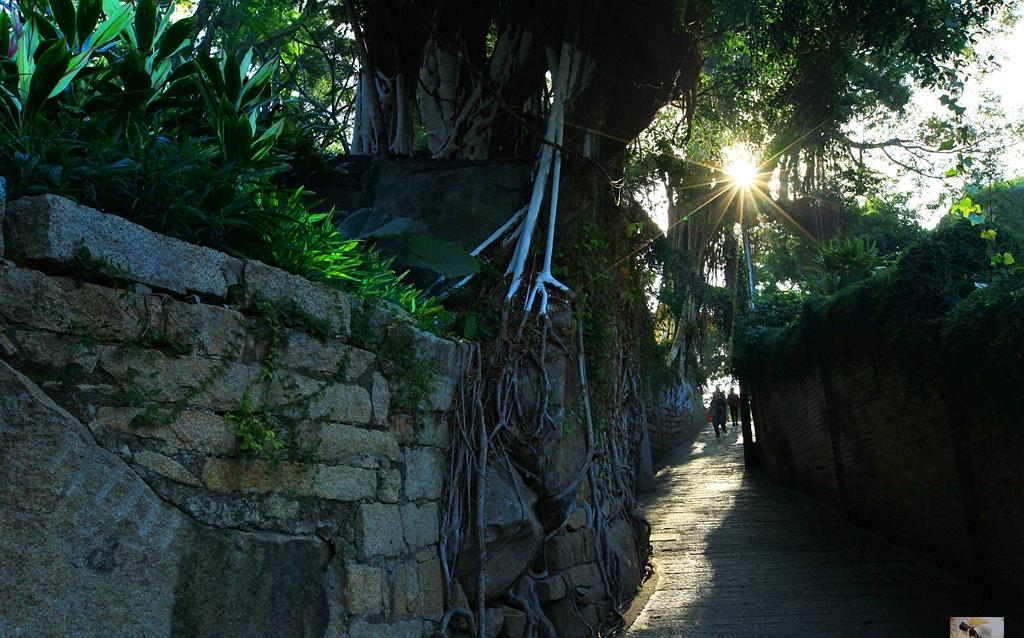 鼓浪屿最贴心景点月光岩