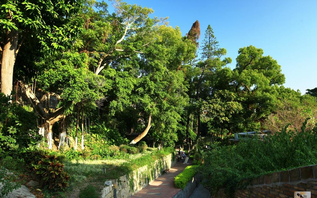 鼓浪屿最贴心景点月光岩