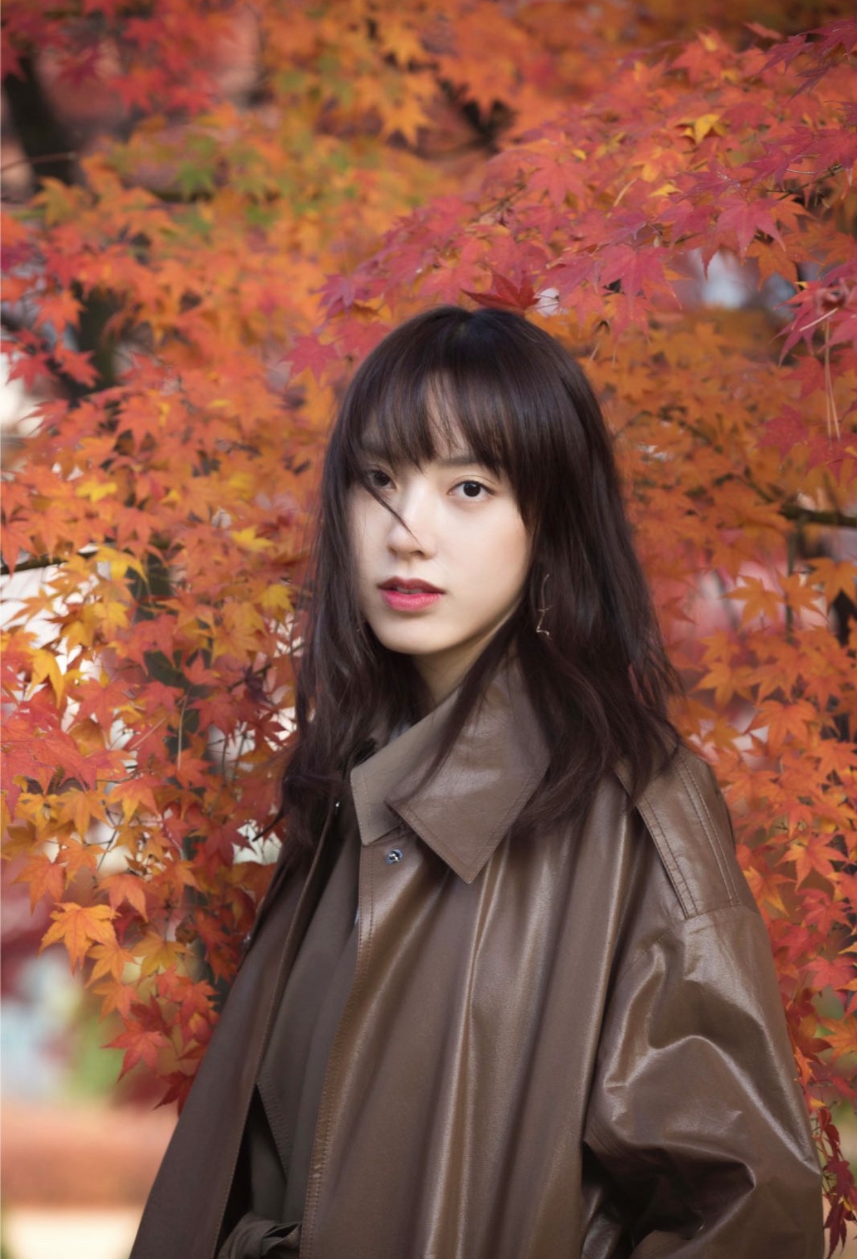 孙嘉灵枫叶写真曝光 清冷高傲气质卓然