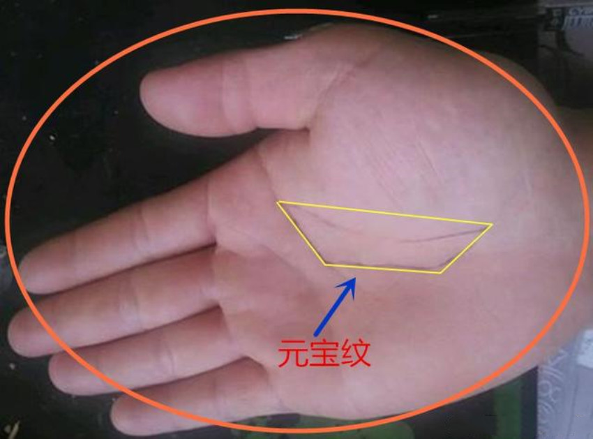 手相:手如伏龟、四指不漏、玉柱深长,这3点,容