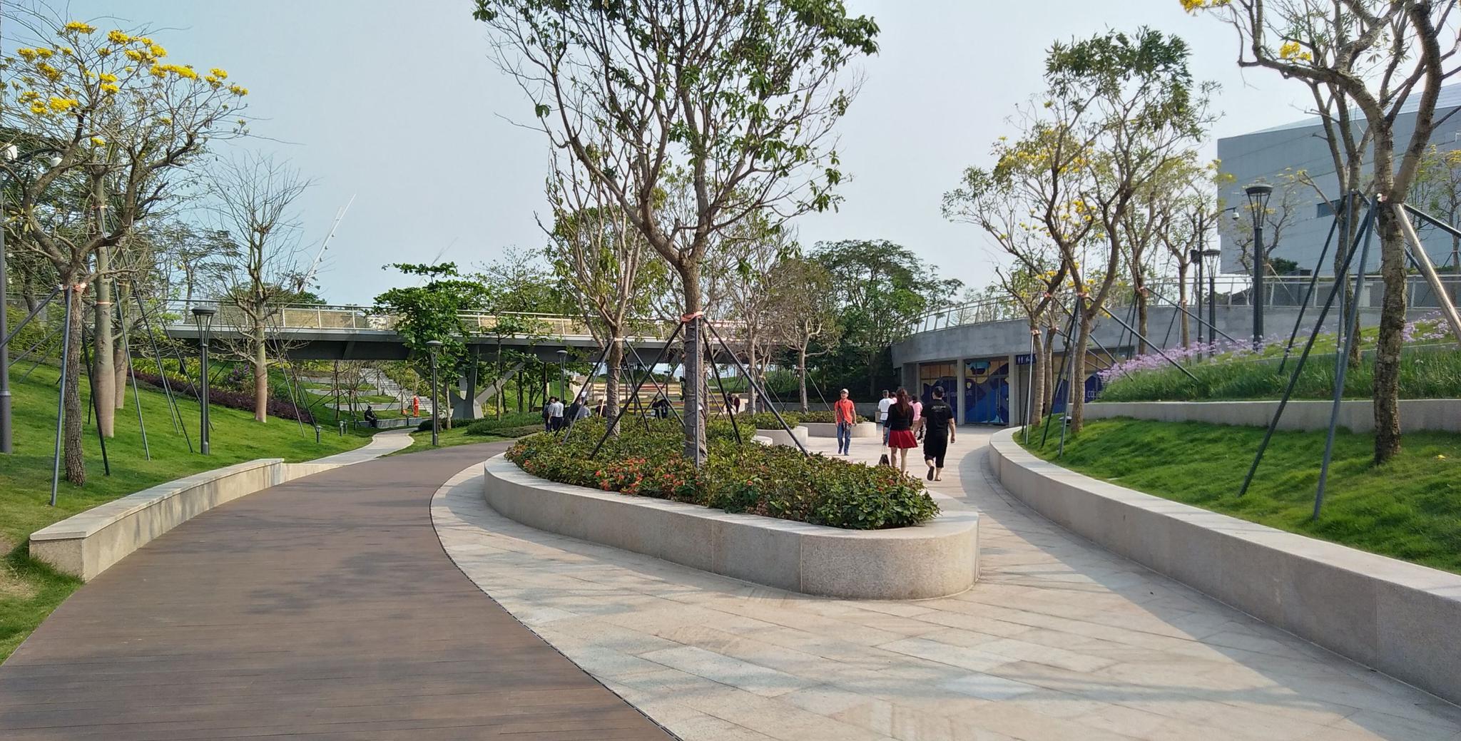 深圳蛇口女娲滨海公园你去过吗?这里的花圃好美_高清图集_新浪网