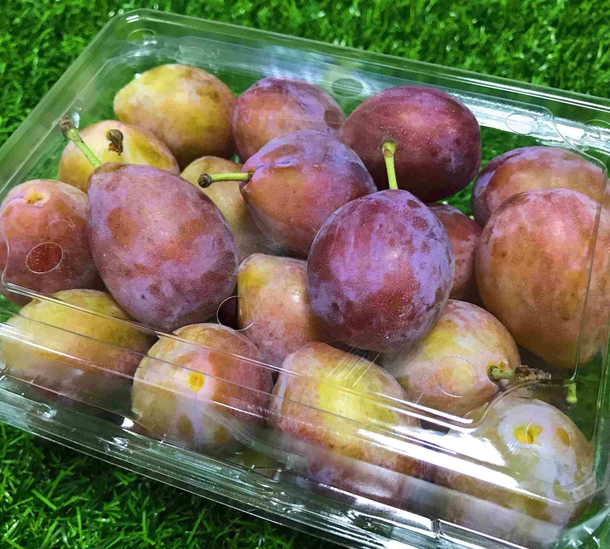 这种新品种"水果",85一斤路人见了纷纷抢着买?