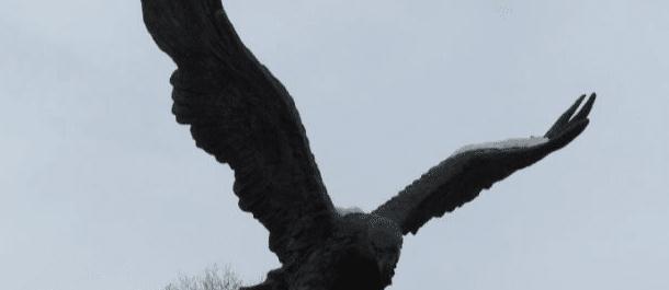 万鹰之神海东青,最接近神的存在,一只可免一切死罪!