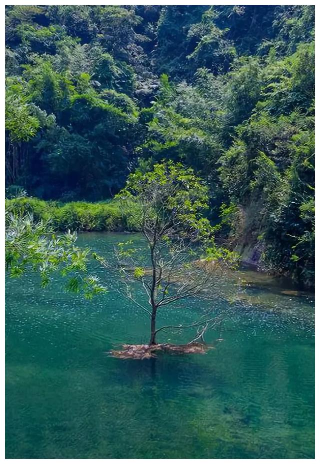 別去四川了,清遠附近