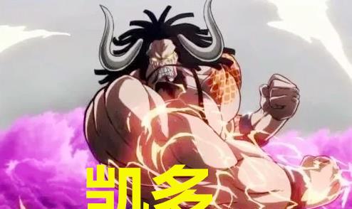 凯多跟大妈一样都是洛克斯的成员,后期的他也是拥有了强大的实力,有着