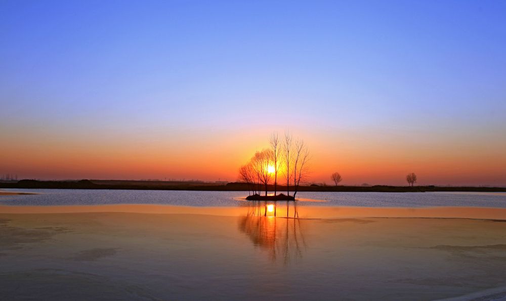 领略流淌文明的黄河之美.让我们一起去山东淄博高青县看看