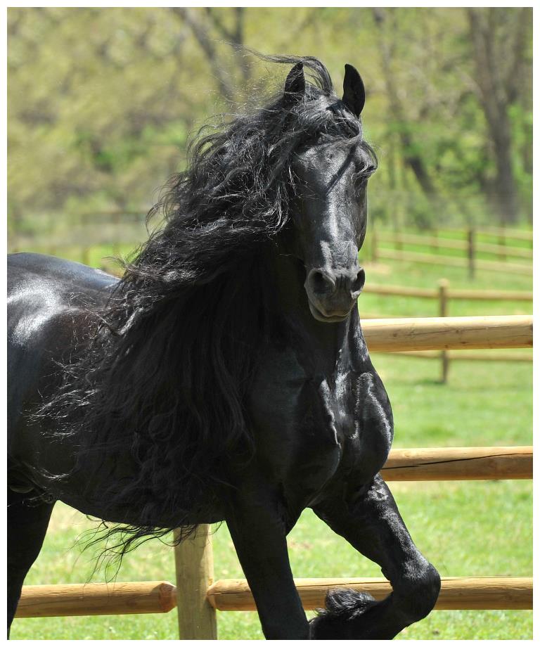 飘逸长发收编一票女粉丝:比还我美|长发|腓特烈|黑马王子_新浪新闻