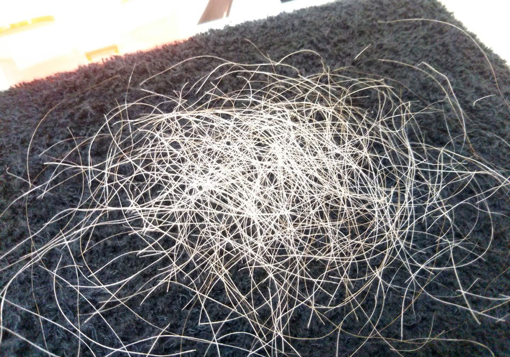 实拍日本另类美发店专拔白头发,30分钟拔200根白发令人称奇