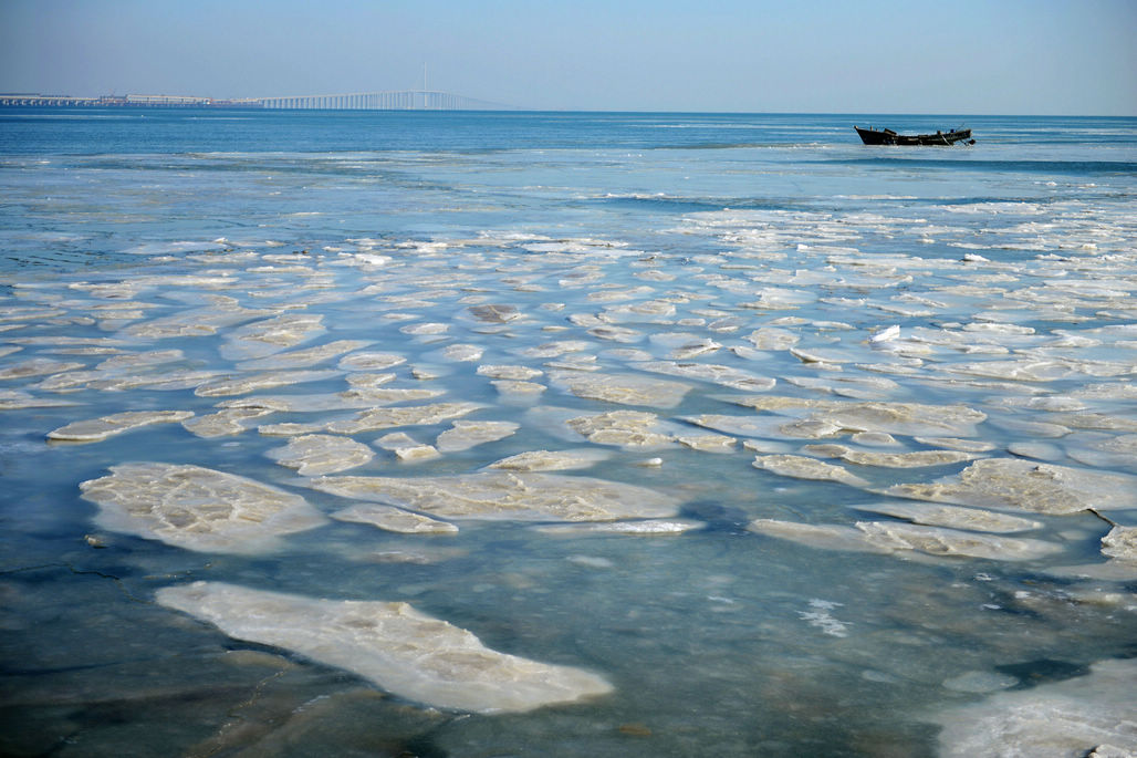 寒潮来袭 胶州湾海岸集结千米海冰 海冰漂浮海面成一景