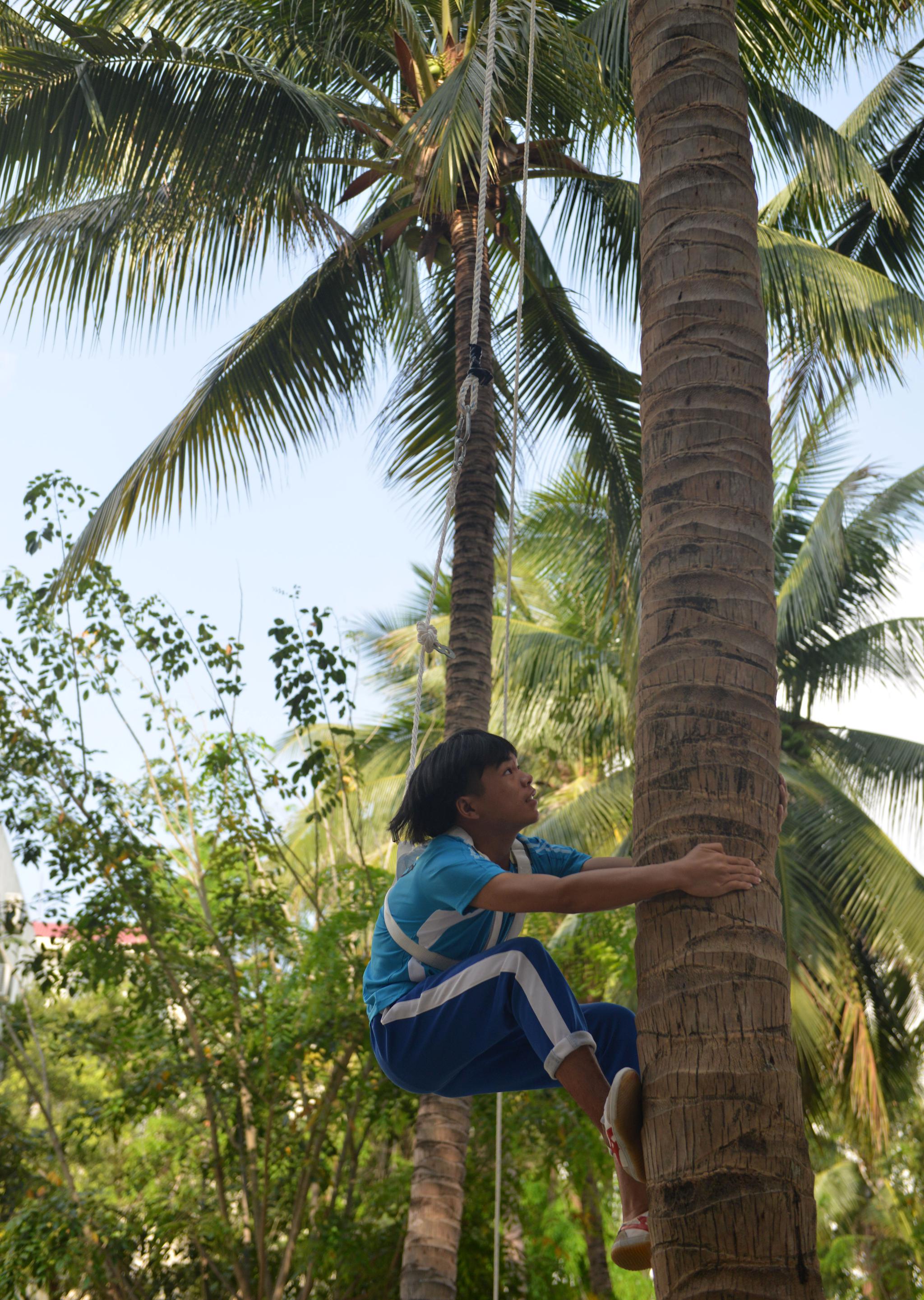 海南青少人徒手攀爬椰子树技巧了得