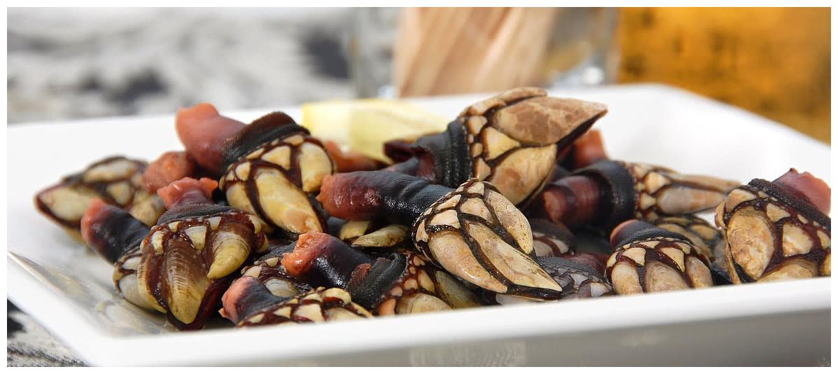 世界奇葩海鲜:来自地狱的美食鹅颈藤壶,售价10000元一斤?