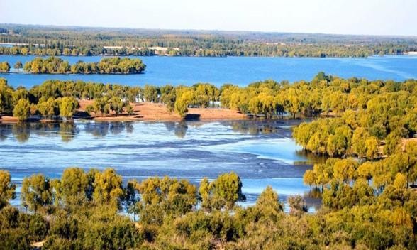 返璞归真大美向海一县一品公益助农吉林通榆农特产品红牛肉