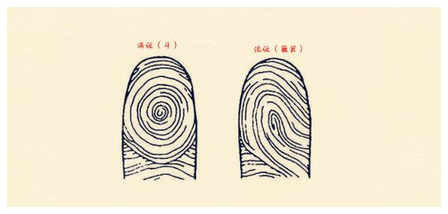 指纹9个细节特征图-千图网