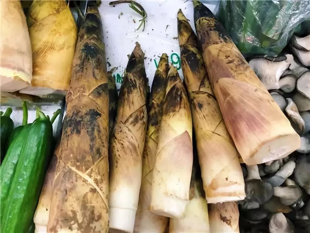 笋肉,颜色越白则越脆嫩,笋肉黄色者质量次之.