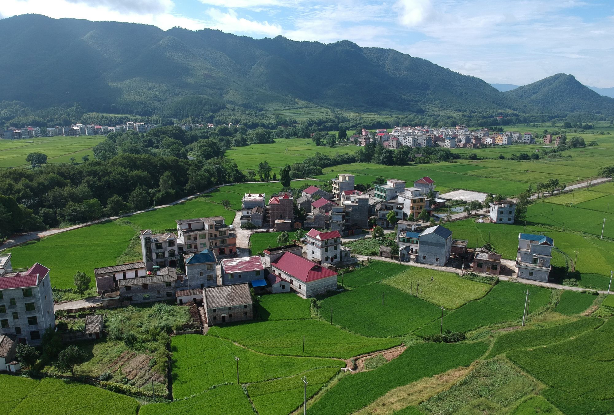 农村|庄家_新浪新闻