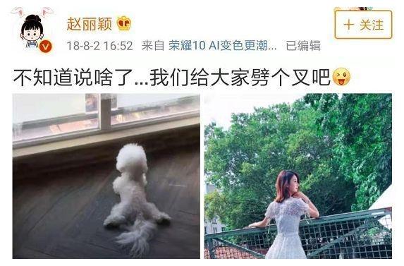 赵丽颖将微博设置仅半年内可见,她是在提防什么?引网友猜疑|赵丽颖|怀孕|冯绍峰_新浪新闻