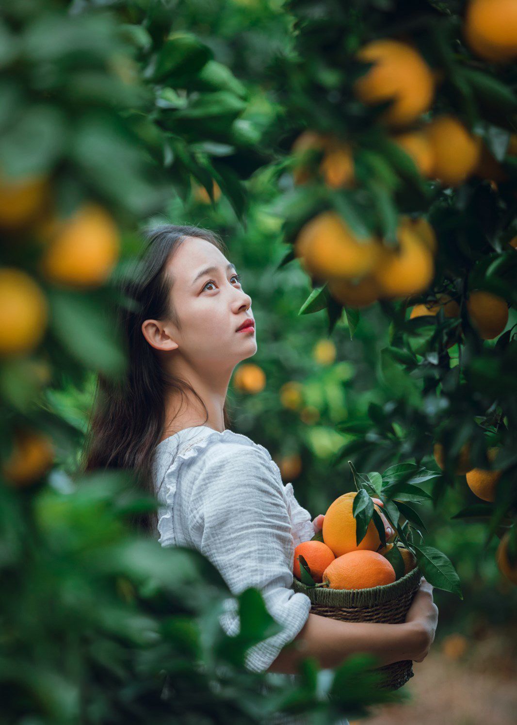 人像摄影:采脐橙的小姑娘