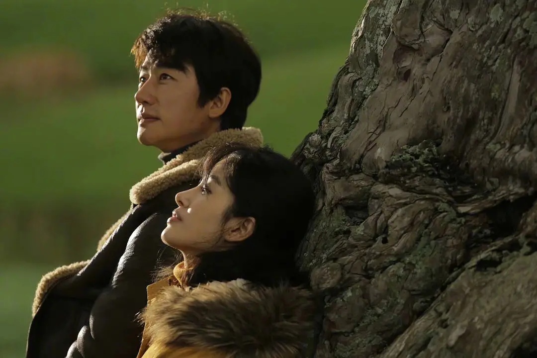 婚姻是爱情坟墓看完只有芸知道遇到对的人包你不再恐婚