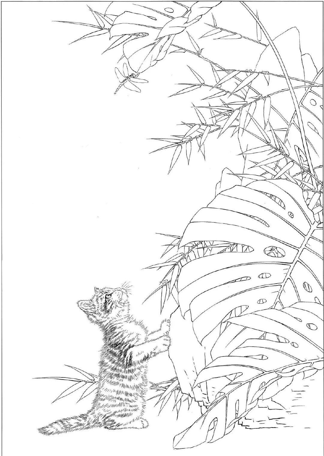 一组猫咪白描作品欣赏