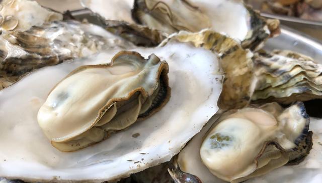 煮生蚝时加水煮是大错特错这样做蚝肉又鲜又嫩还不回缩