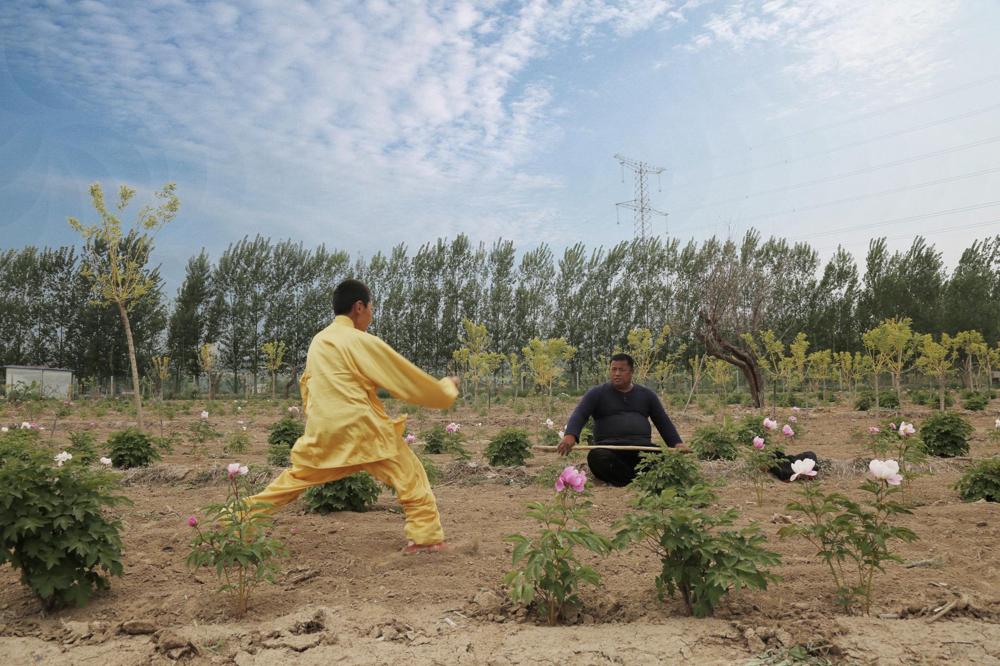 拳师隐居乡下斥资百万建"花海",被赞有情调的功夫农民