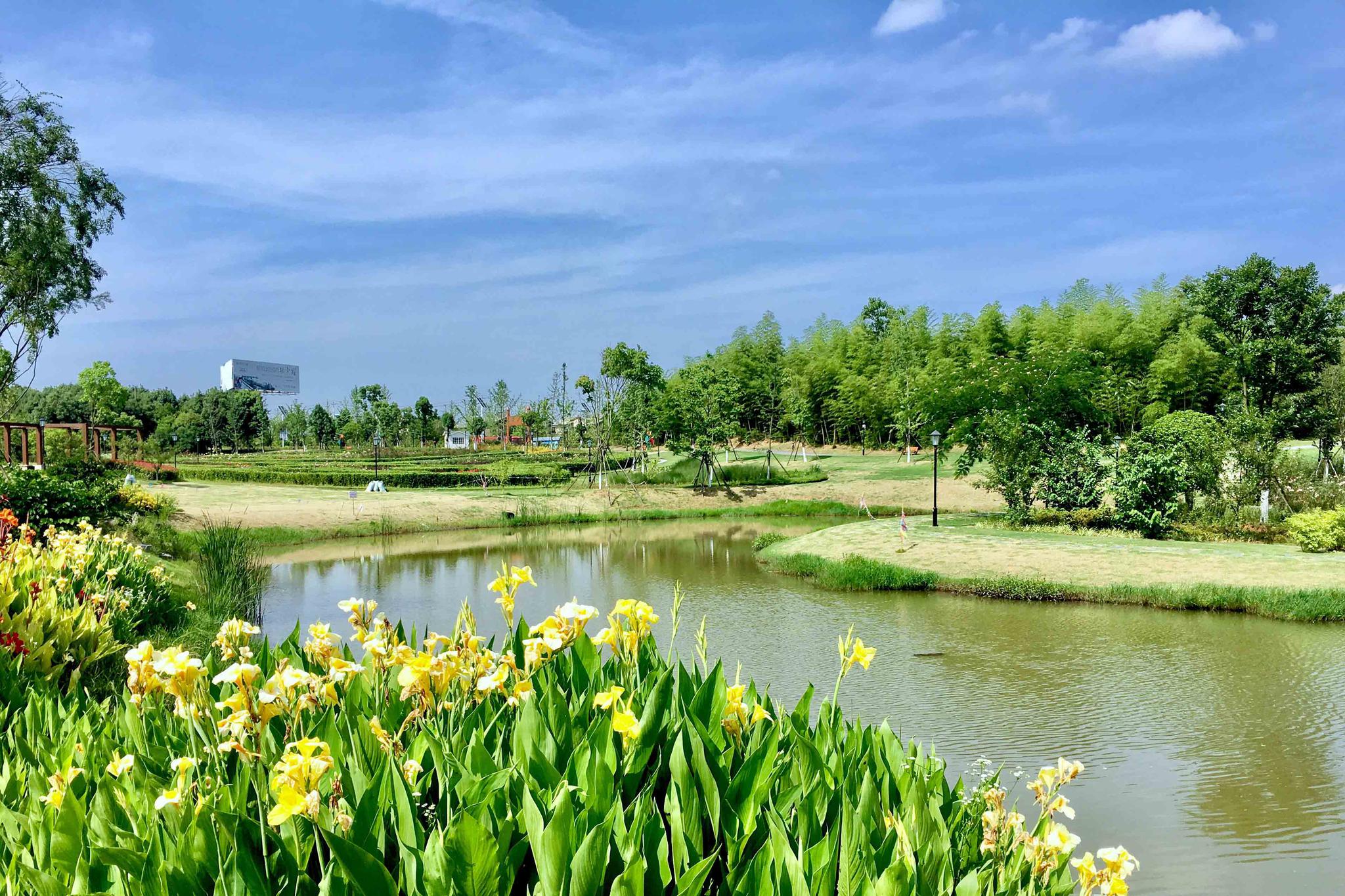 梓山湖蜜月湾玫瑰园(明年5月再来看花)【湖北 咸宁】