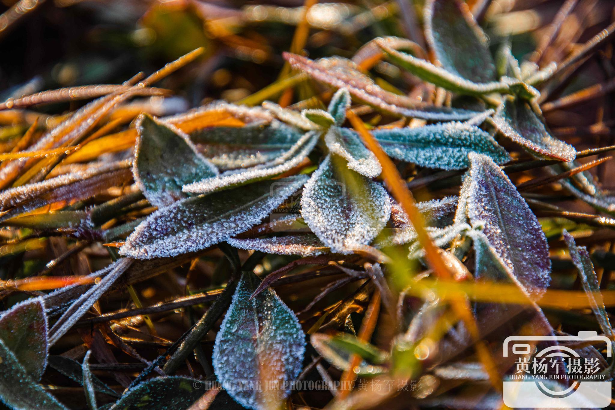 江西于都县甘塘坑的农村景色,冬日清晨乡间的白霜,美如北方的雪