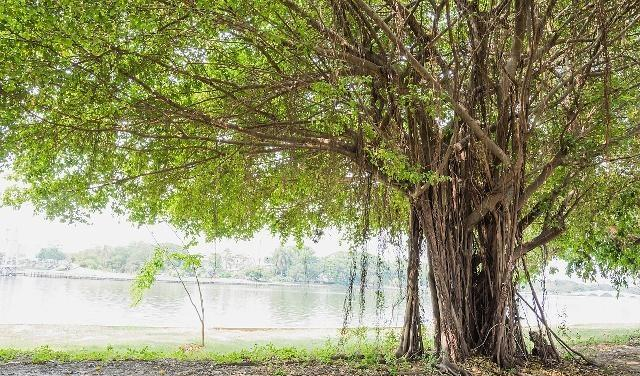 它庄严,并没有矜持的气息;它平和,却半点也不见的荏弱;它安详,又显得