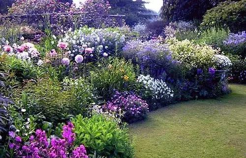 生活里不可缺少的绿色植物,多种多样的物种和景观源于自然