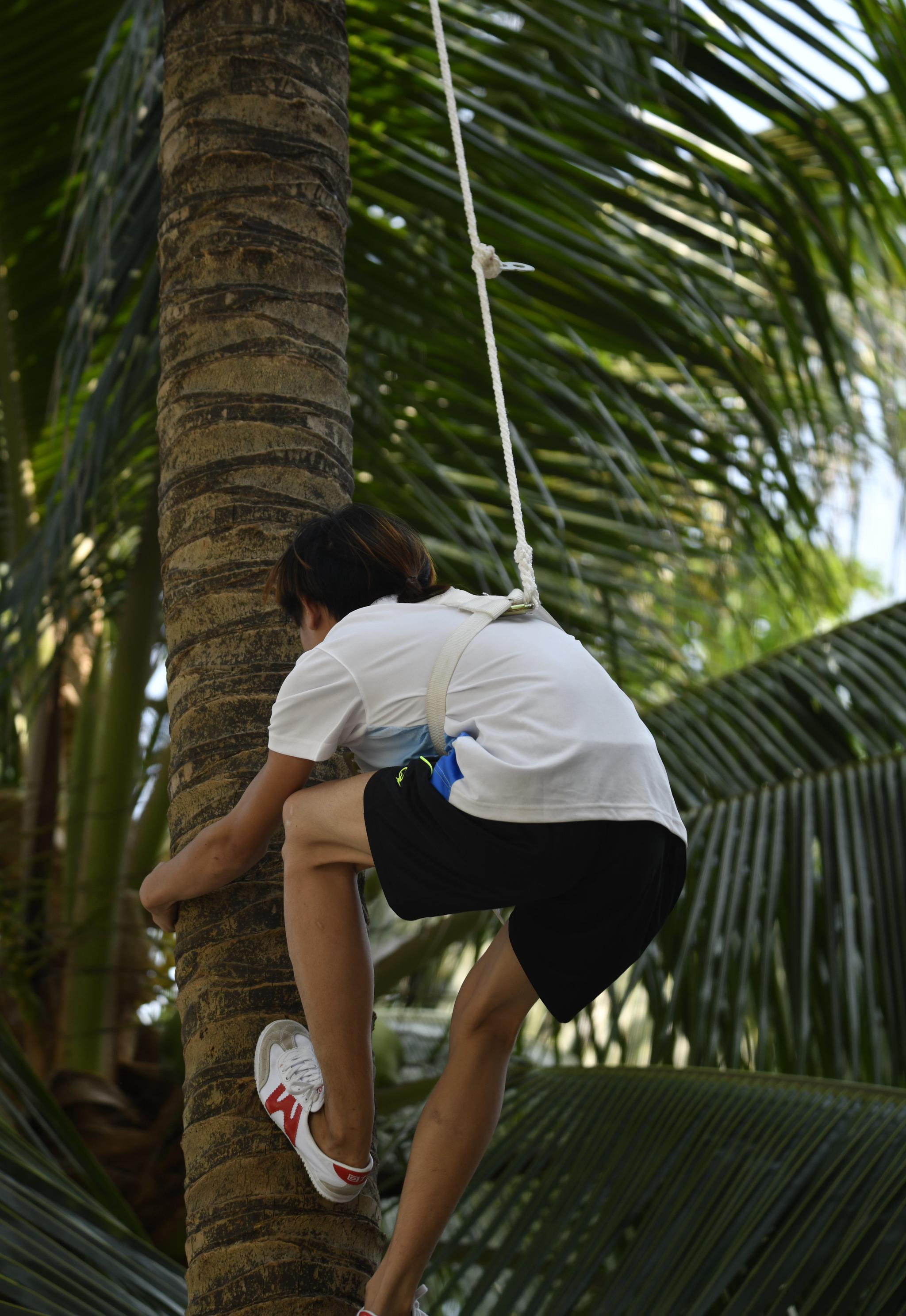 海南青少人徒手攀爬椰子树技巧了得