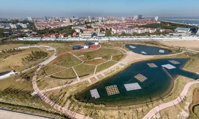 2035年上海市金山区总体规划的发展重点是海洋公园!