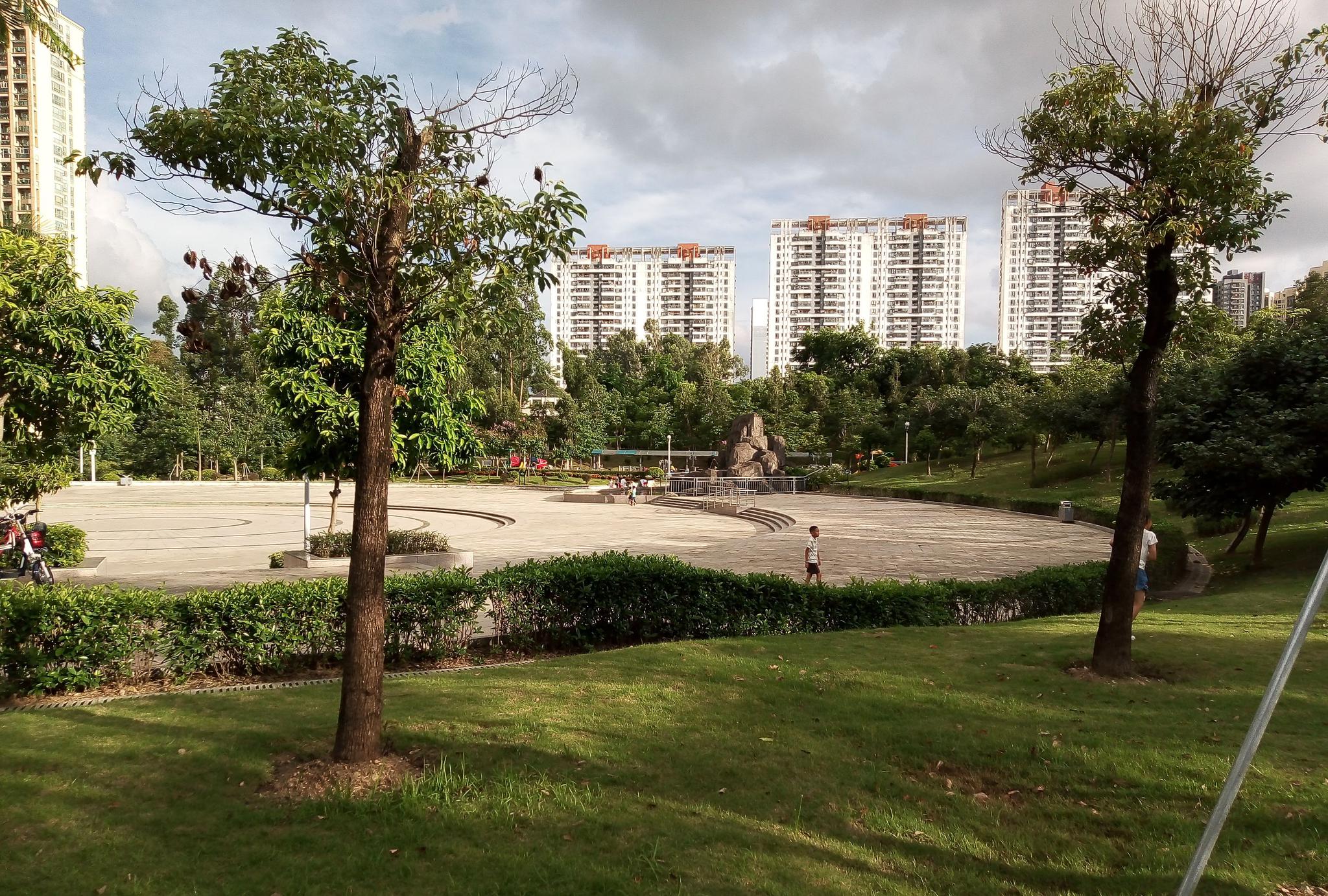 这个夏天,深圳龙岗回龙埔公园有什么看点呢?