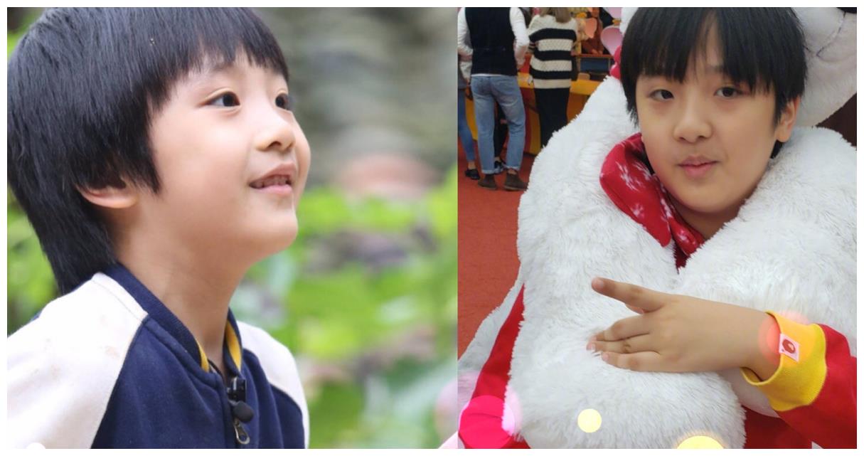 多多变成熟,贝儿变漂亮,而她让人认不出|贝儿|杨阳洋|费曼_新浪网