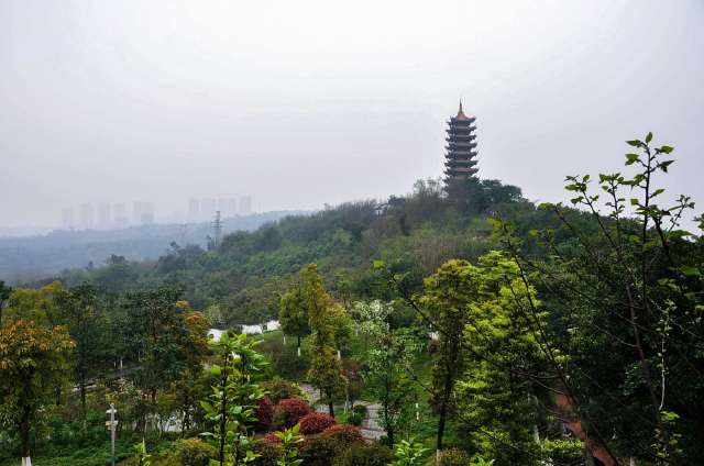 重庆照母山植物园风景实拍