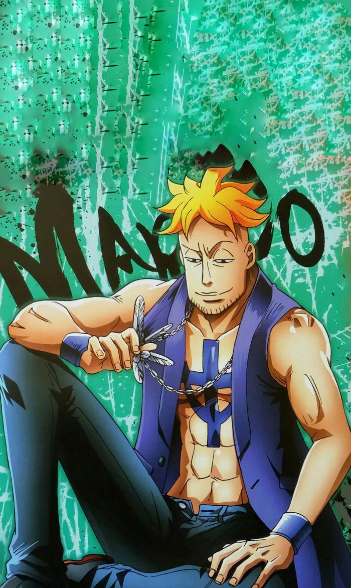 海贼王丨这组图美出天际,帅出高度|布索|鸡冠头|香吉士_新浪新闻