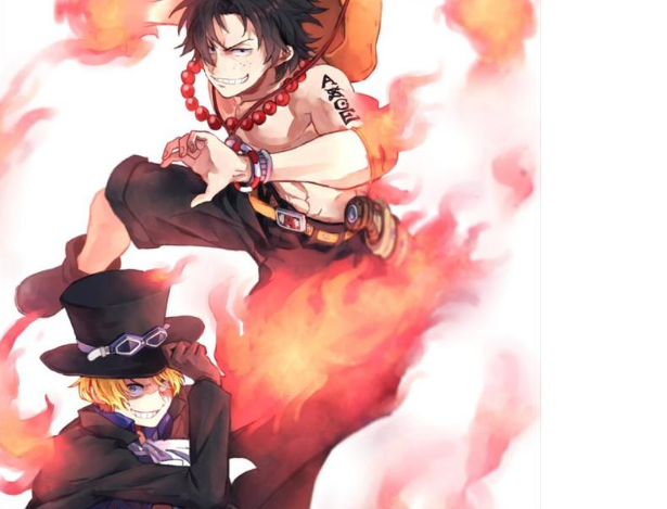 海贼王中罗宾为什么不告诉路飞萨博还活着?