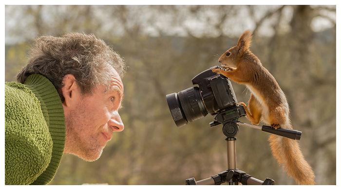 拍红松鼠捕捉最梦幻画面奇趣照片惊艳全网好像童话世界的