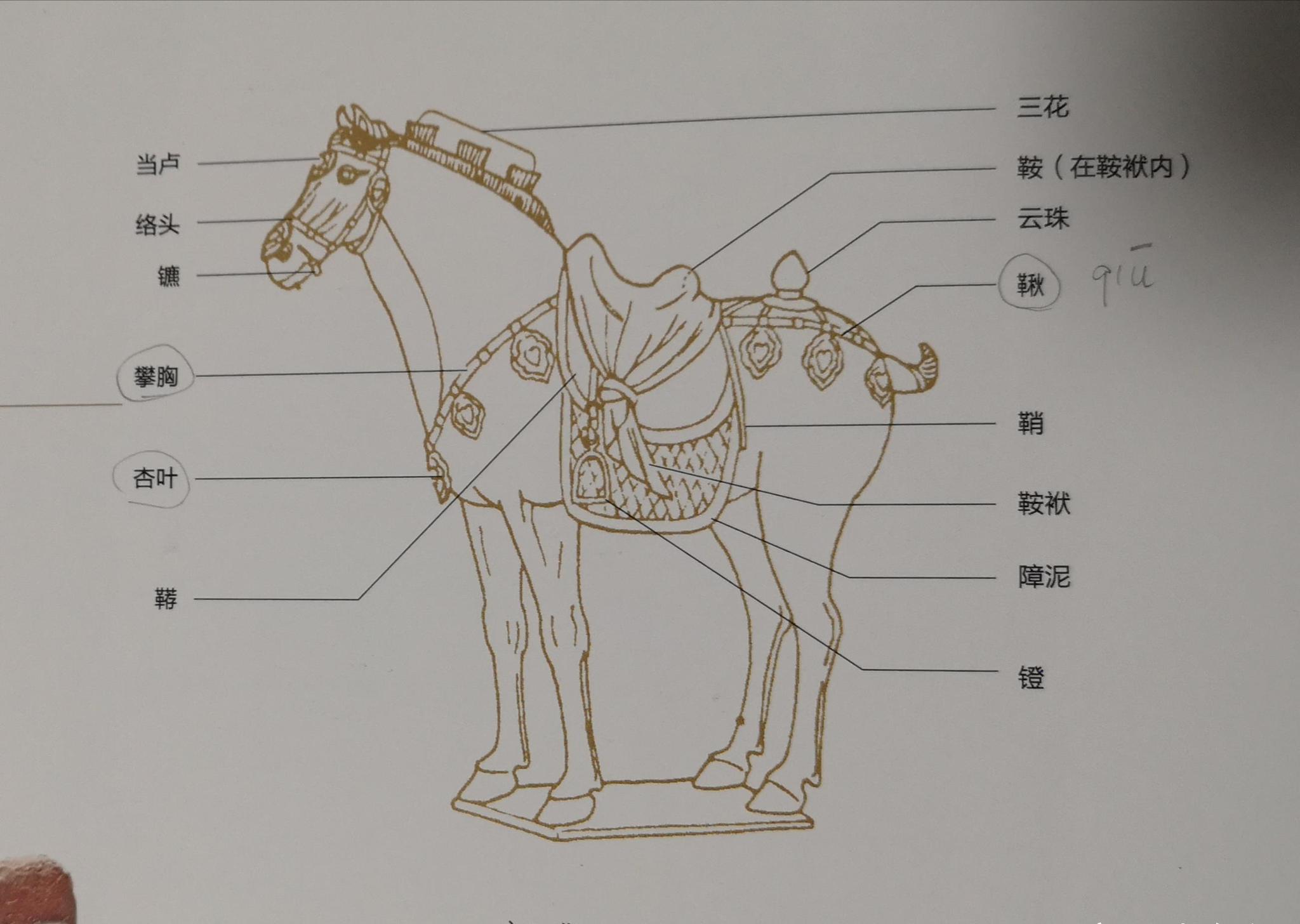 成语中的文物分道扬镳为什么分道要扬镳镳是什么