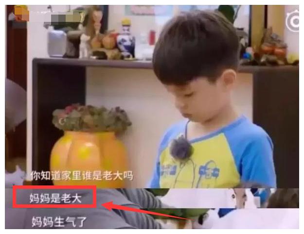 霍思燕、杜江给孩子最好的教育,不是拼金钱、