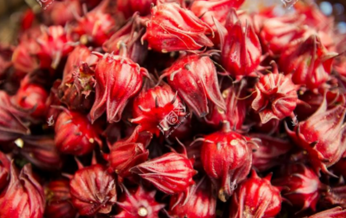 洛神果这水果看着像一朵含苞待放的花朵,但它真的是水果,主要分布在