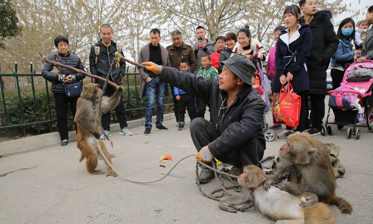 街头耍猴最精彩最逗乐的是人猴互耍,咬你打你都是演戏|耍猴人|赏钱|猴戏|节目|零钱_新浪新闻